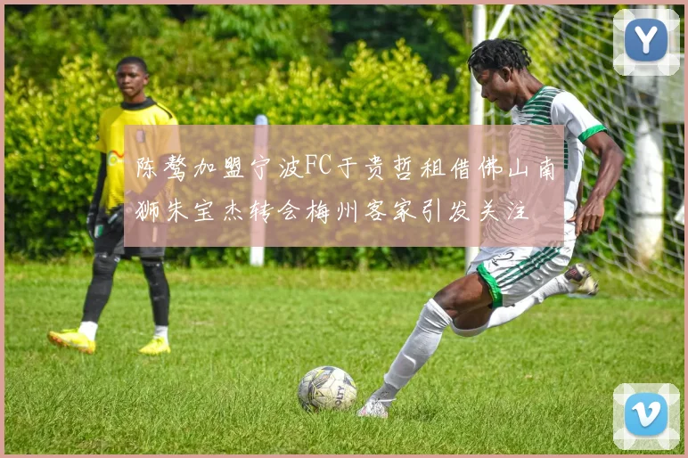 陈骜加盟宁波FC于贵哲租借佛山南狮朱宝杰转会梅州客家引发关注