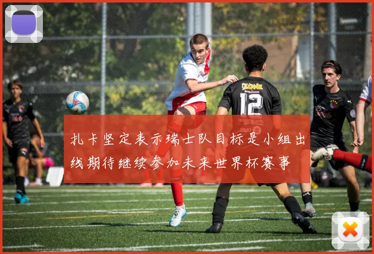 扎卡坚定表示瑞士队目标是小组出线期待继续参加未来世界杯赛事