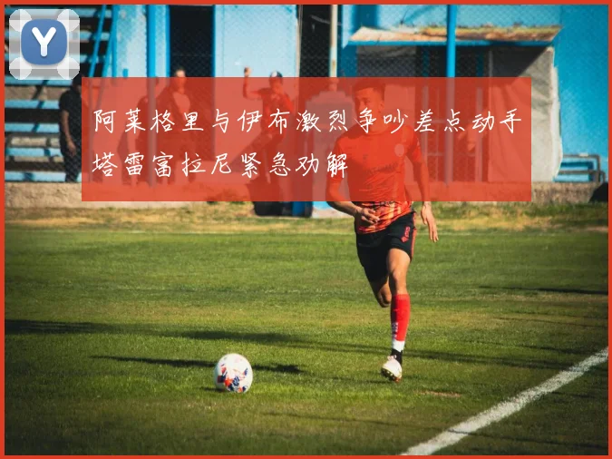 阿莱格里与伊布激烈争吵差点动手塔雷富拉尼紧急劝解