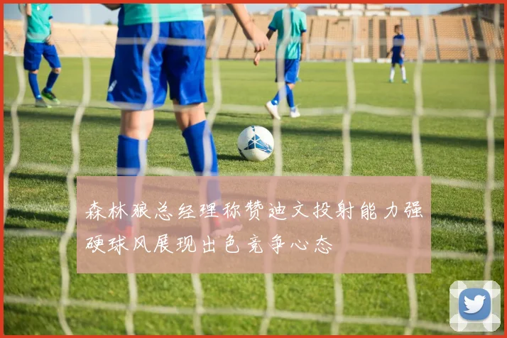 森林狼总经理称赞迪文投射能力强硬球风展现出色竞争心态